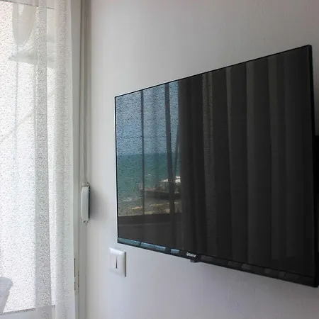 Palm & Ocean *